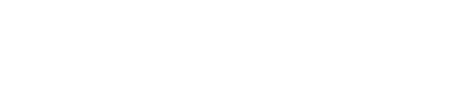DENSO ELECTRONICS RECRUITING SITE 2017